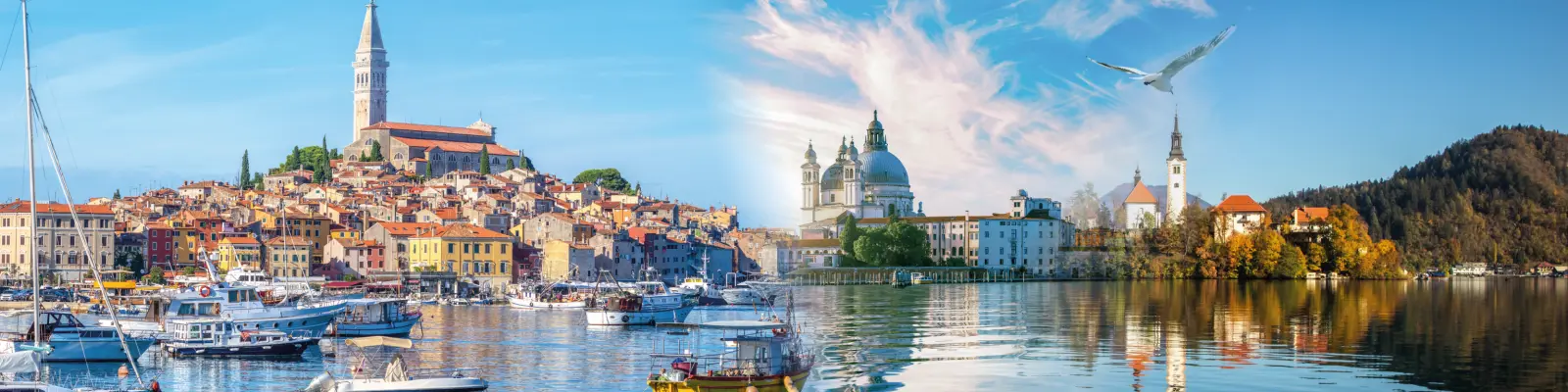 image banner