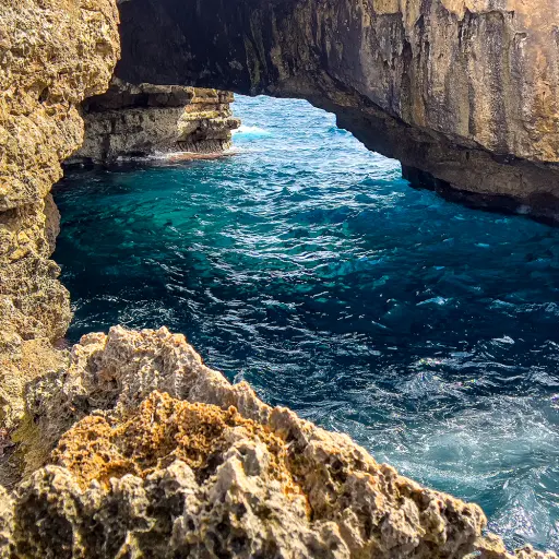 Coral Lagoon