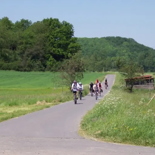 Balades à vélo