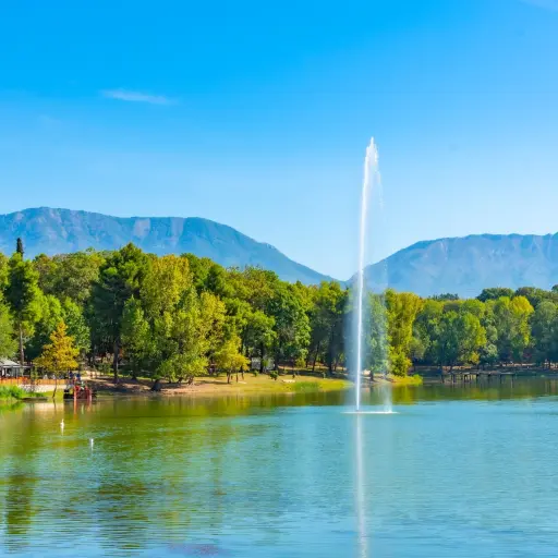 Lac artificiel Tirana