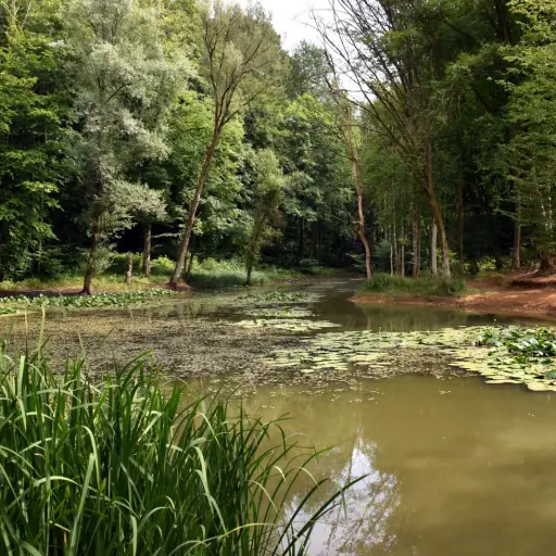 Le parc Ellergronn